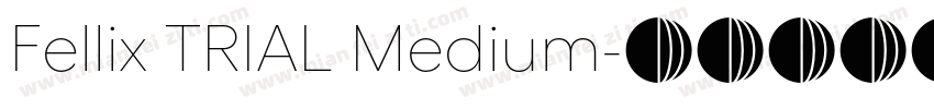 Fellix TRIAL Medium字体转换